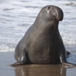 Profile picture of Lucky3105